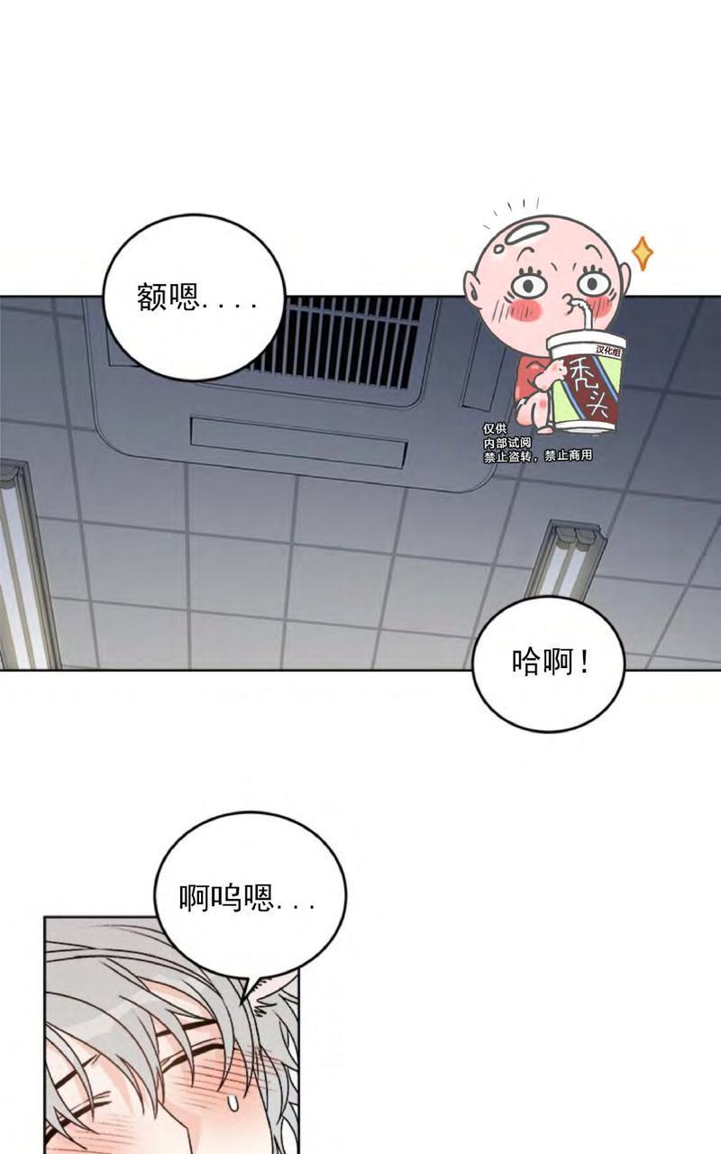 逐龙/追龙[耽美]韩漫全集-第32话无删减无遮挡章节图片 
