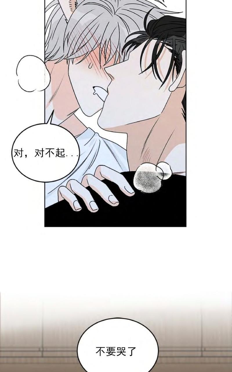 逐龙/追龙[耽美]韩漫全集-第32话无删减无遮挡章节图片 