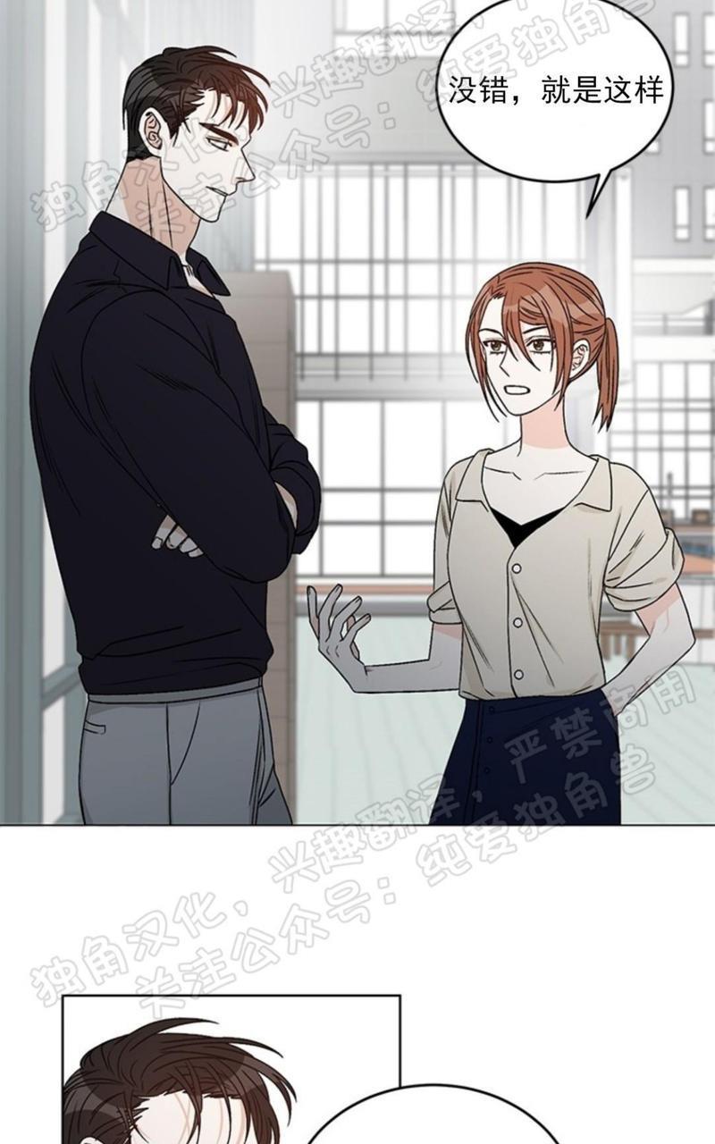 逐龙/追龙[耽美]韩漫全集-第33话无删减无遮挡章节图片 