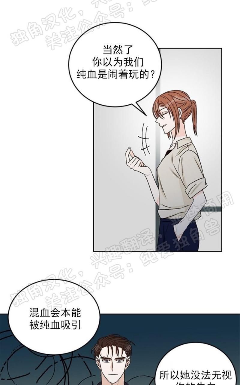 逐龙/追龙[耽美]韩漫全集-第33话无删减无遮挡章节图片 