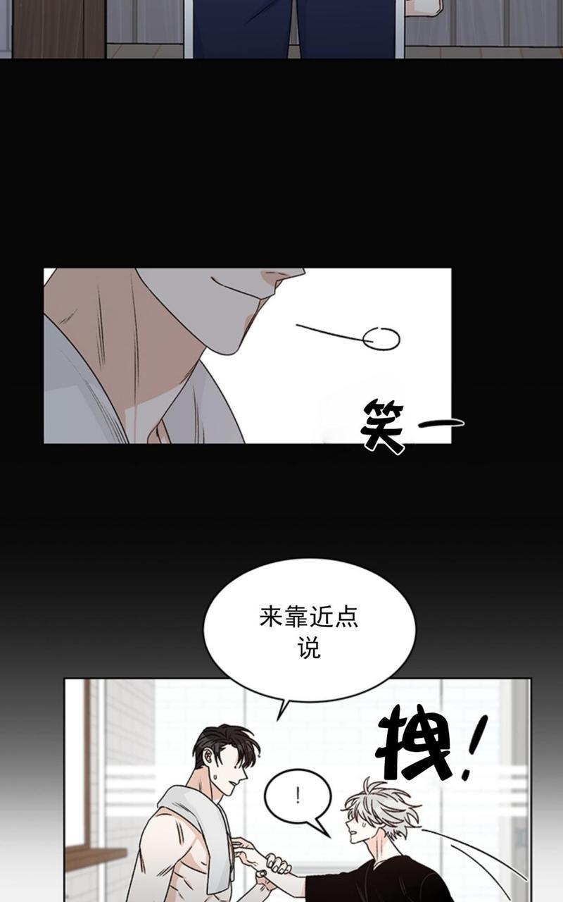 逐龙/追龙[耽美]韩漫全集-第34话无删减无遮挡章节图片 