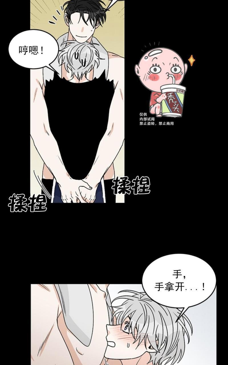 逐龙/追龙[耽美]韩漫全集-第34话无删减无遮挡章节图片 