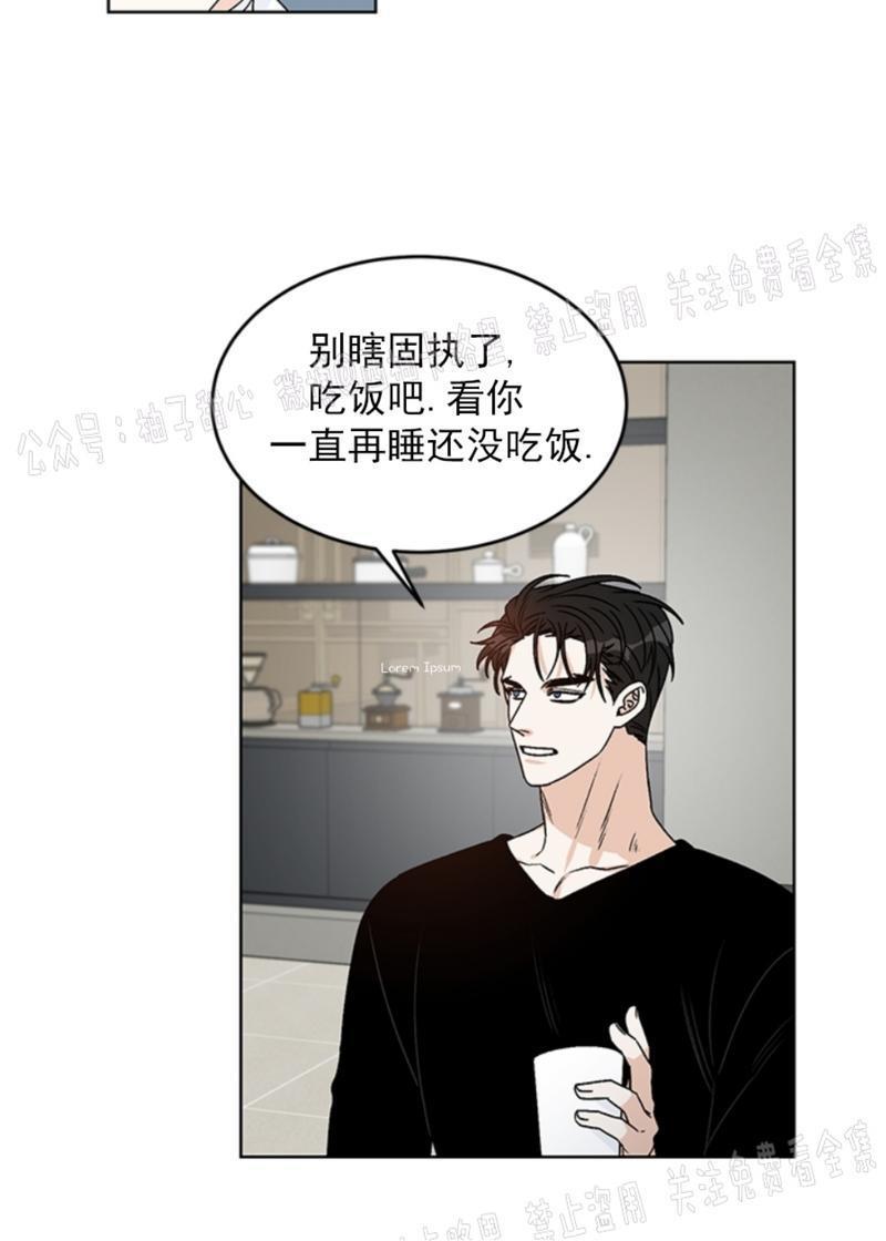 逐龙/追龙[耽美]韩漫全集-第35话无删减无遮挡章节图片 
