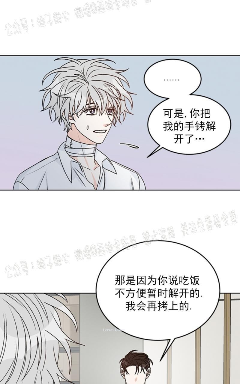 逐龙/追龙[耽美]韩漫全集-第35话无删减无遮挡章节图片 