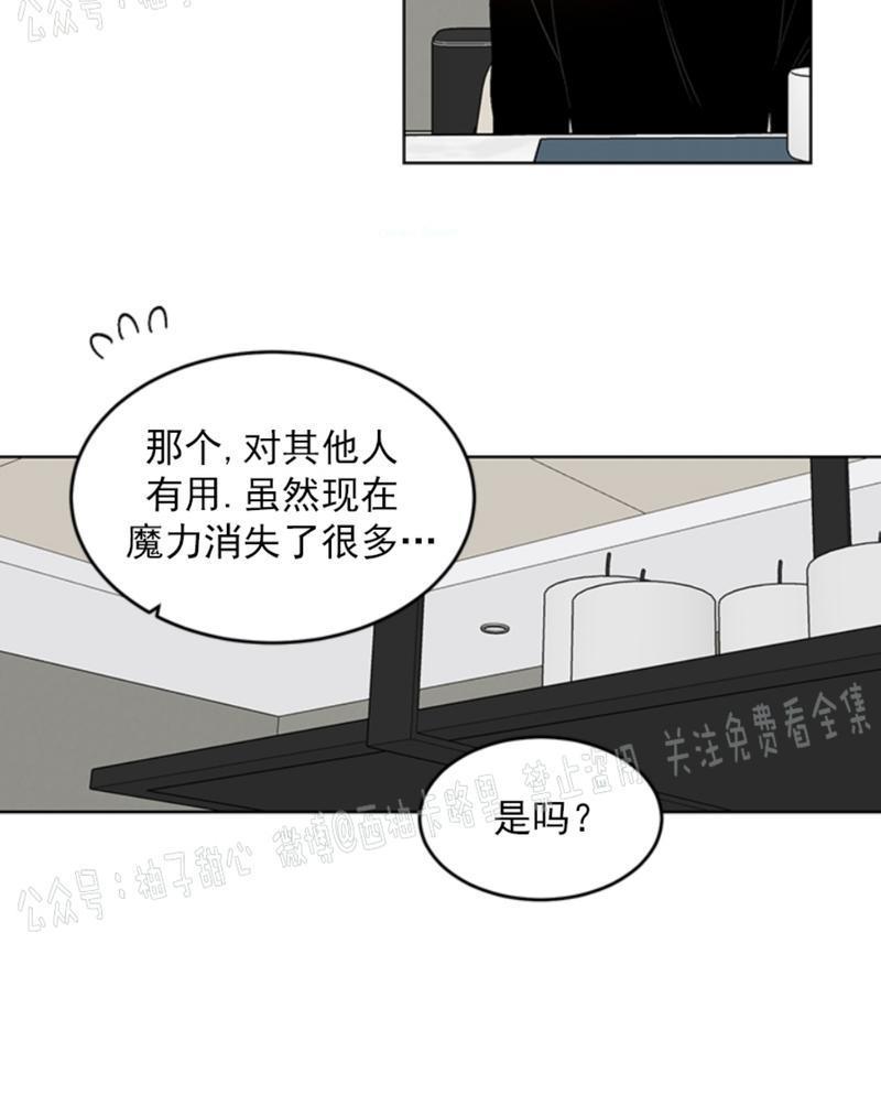 逐龙/追龙[耽美]韩漫全集-第35话无删减无遮挡章节图片 
