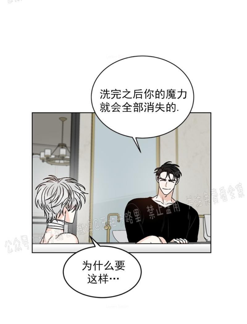 逐龙/追龙[耽美]韩漫全集-第35话无删减无遮挡章节图片 