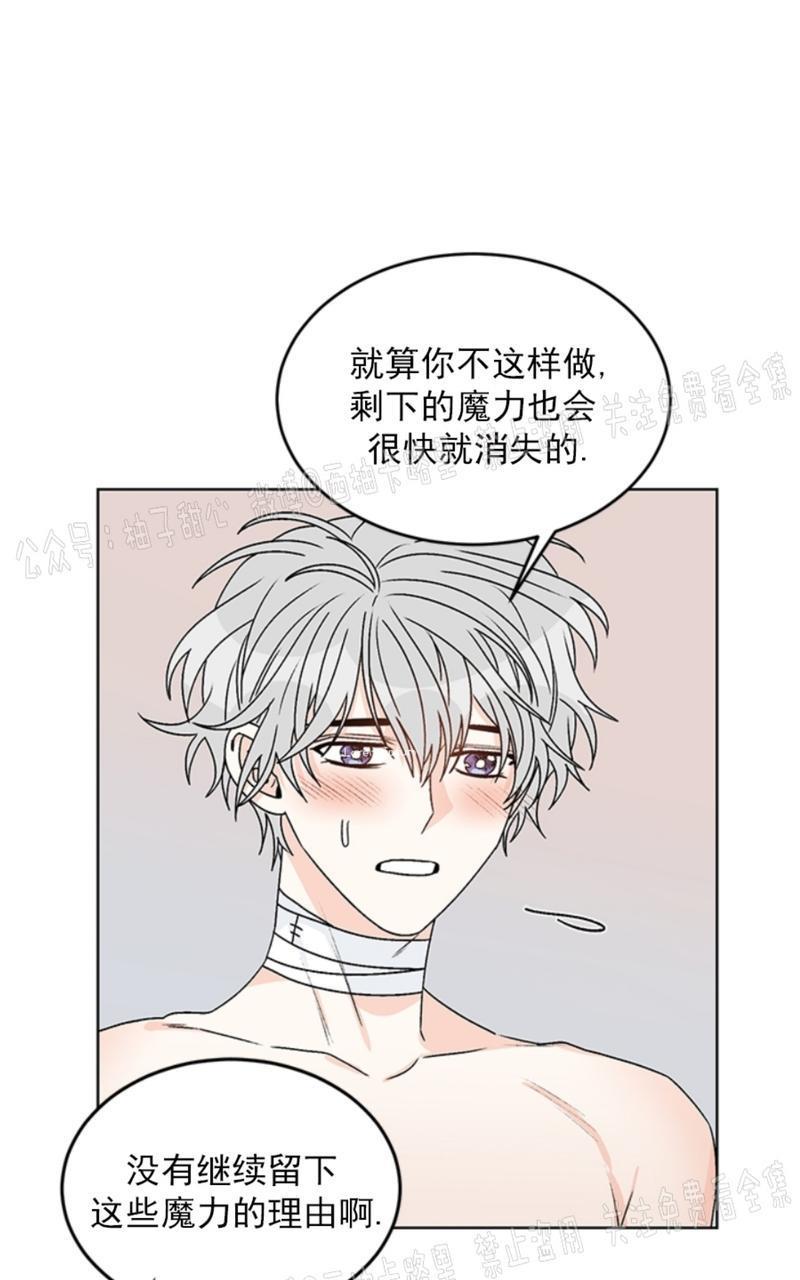 逐龙/追龙[耽美]韩漫全集-第35话无删减无遮挡章节图片 