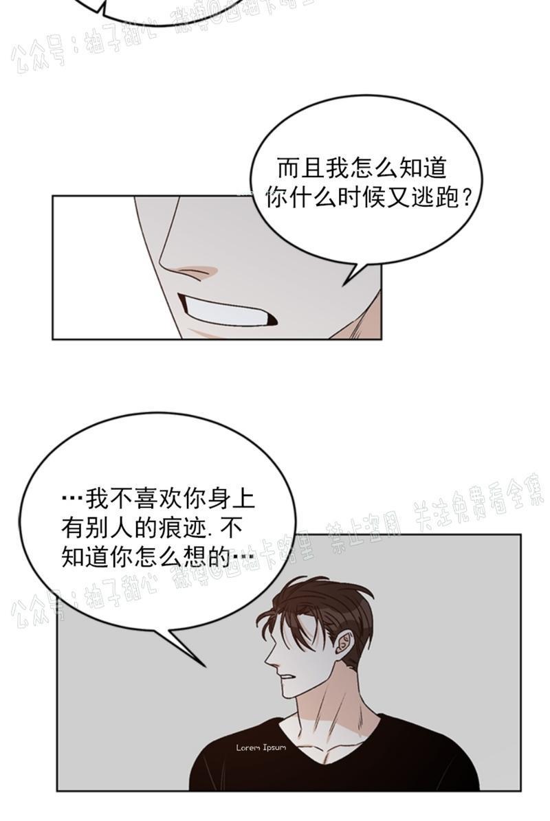逐龙/追龙[耽美]韩漫全集-第35话无删减无遮挡章节图片 