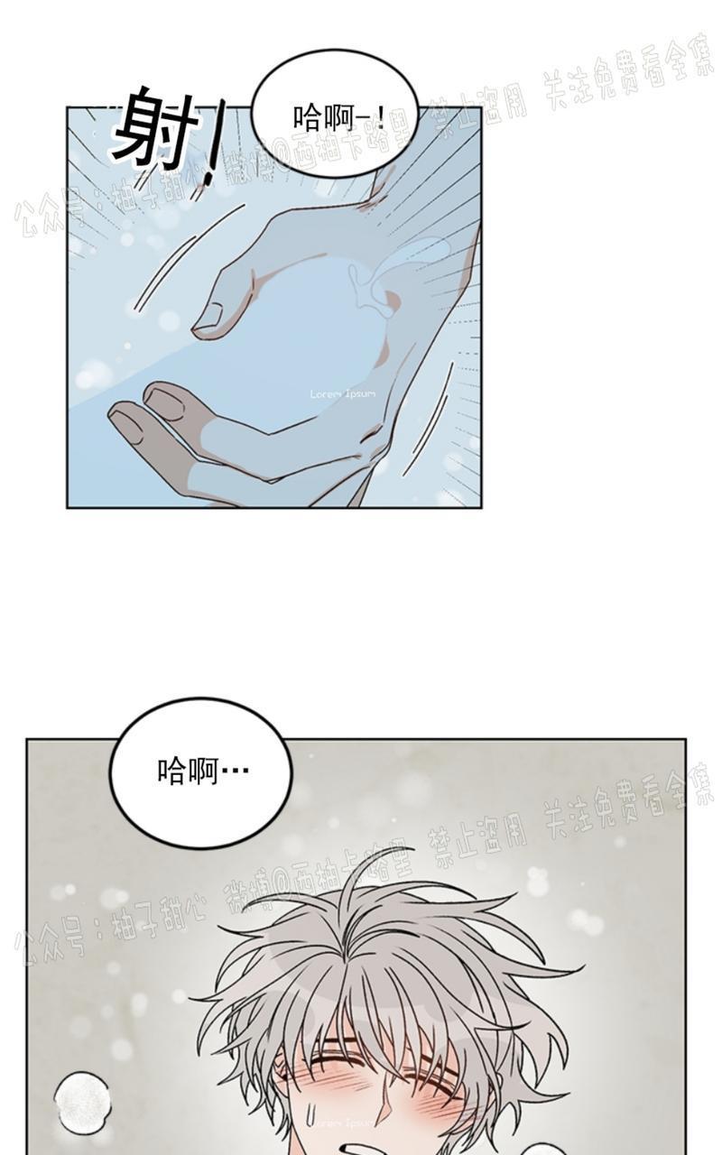 逐龙/追龙[耽美]韩漫全集-第35话无删减无遮挡章节图片 