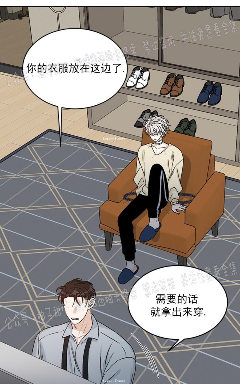 逐龙/追龙[耽美]韩漫全集-第35话无删减无遮挡章节图片 