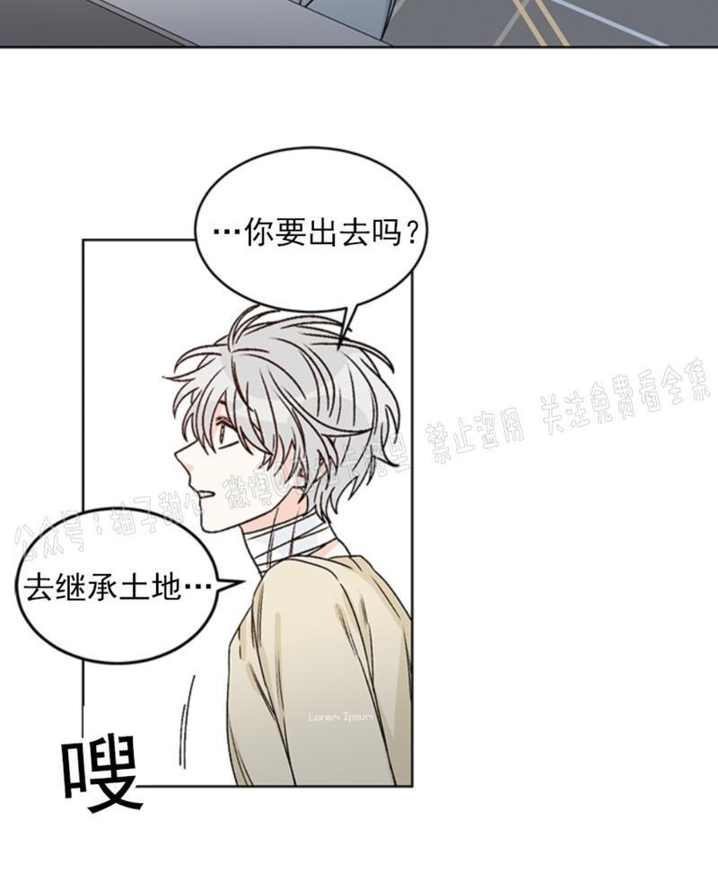 逐龙/追龙[耽美]韩漫全集-第35话无删减无遮挡章节图片 
