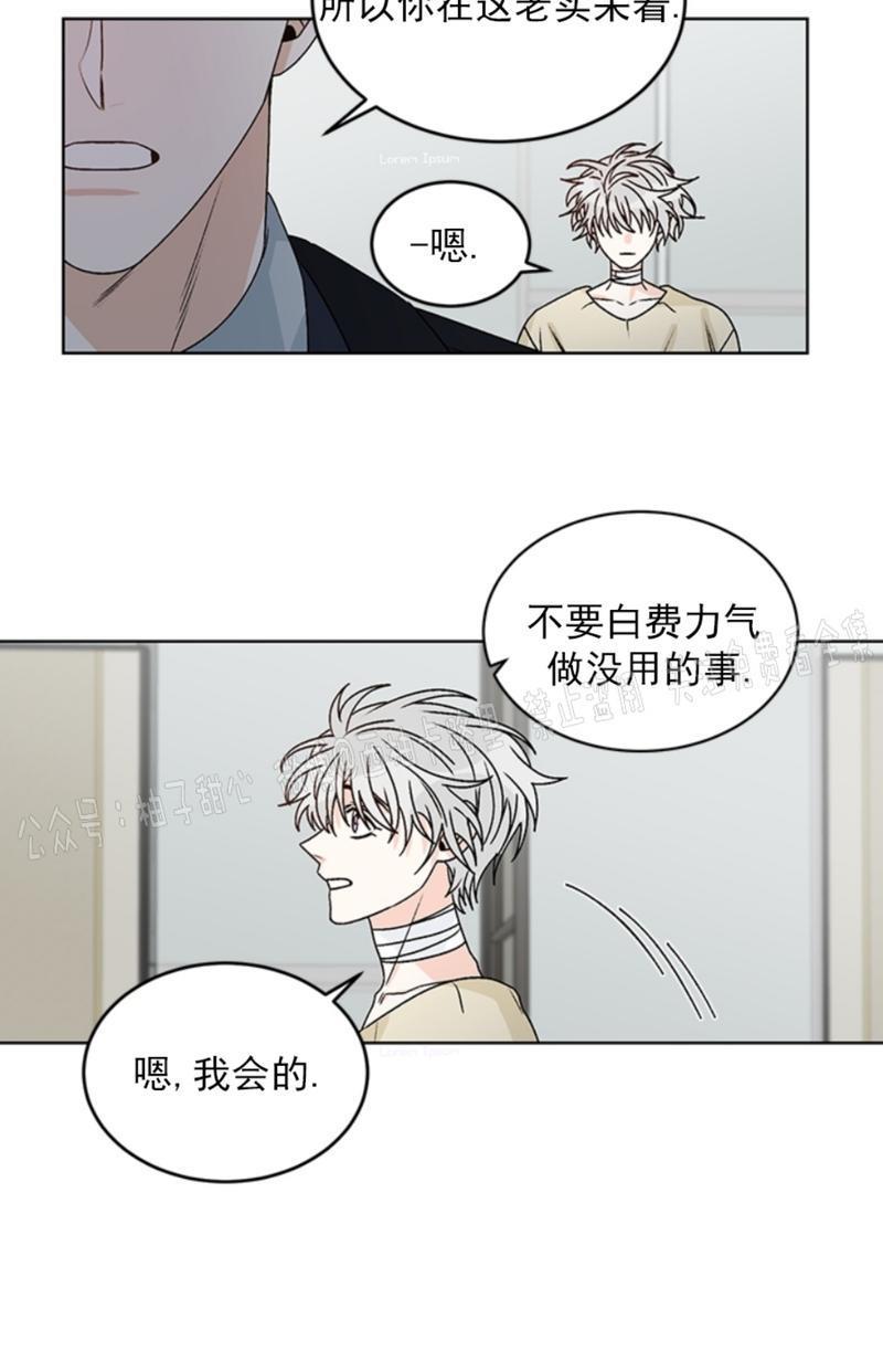 逐龙/追龙[耽美]韩漫全集-第35话无删减无遮挡章节图片 