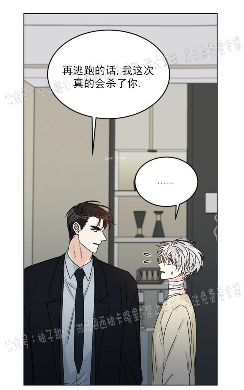 逐龙/追龙[耽美]韩漫全集-第35话无删减无遮挡章节图片 