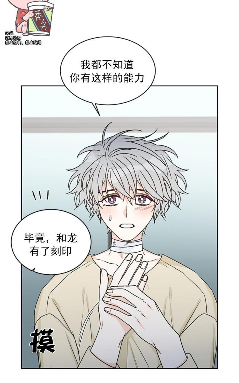 逐龙/追龙[耽美]韩漫全集-第36话无删减无遮挡章节图片 