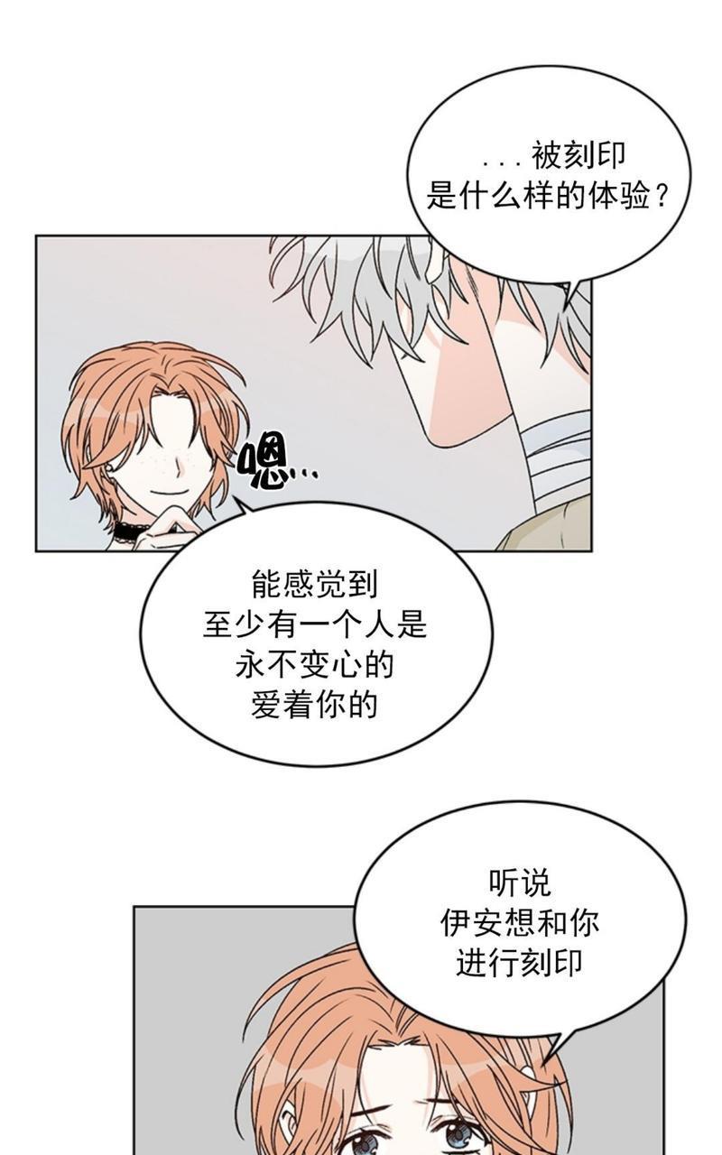 逐龙/追龙[耽美]韩漫全集-第36话无删减无遮挡章节图片 