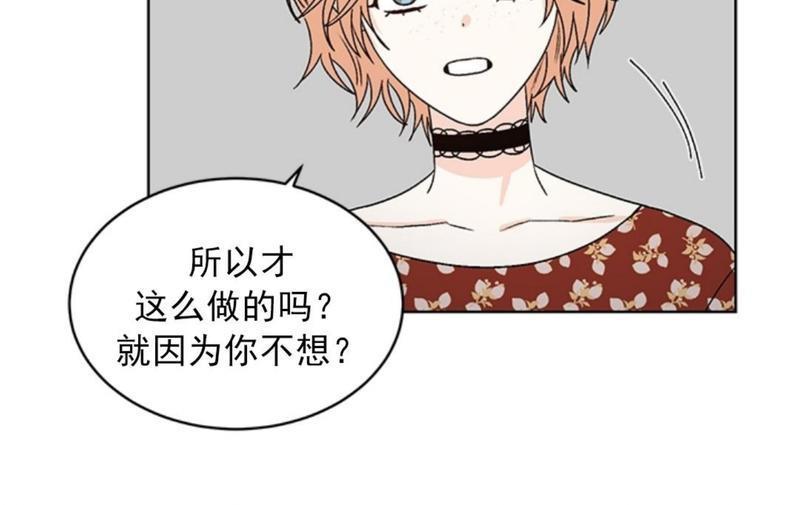 逐龙/追龙[耽美]韩漫全集-第36话无删减无遮挡章节图片 