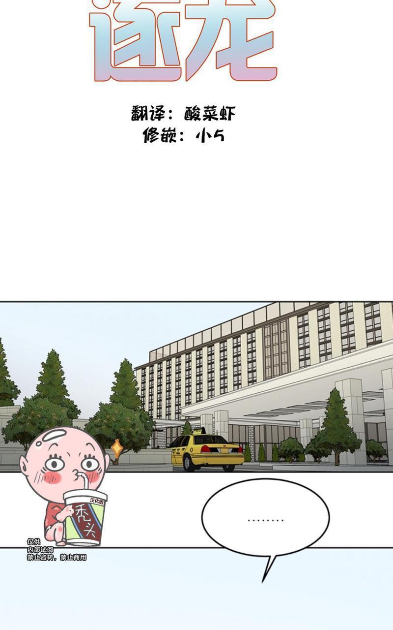 逐龙/追龙[耽美]韩漫全集-第36话无删减无遮挡章节图片 