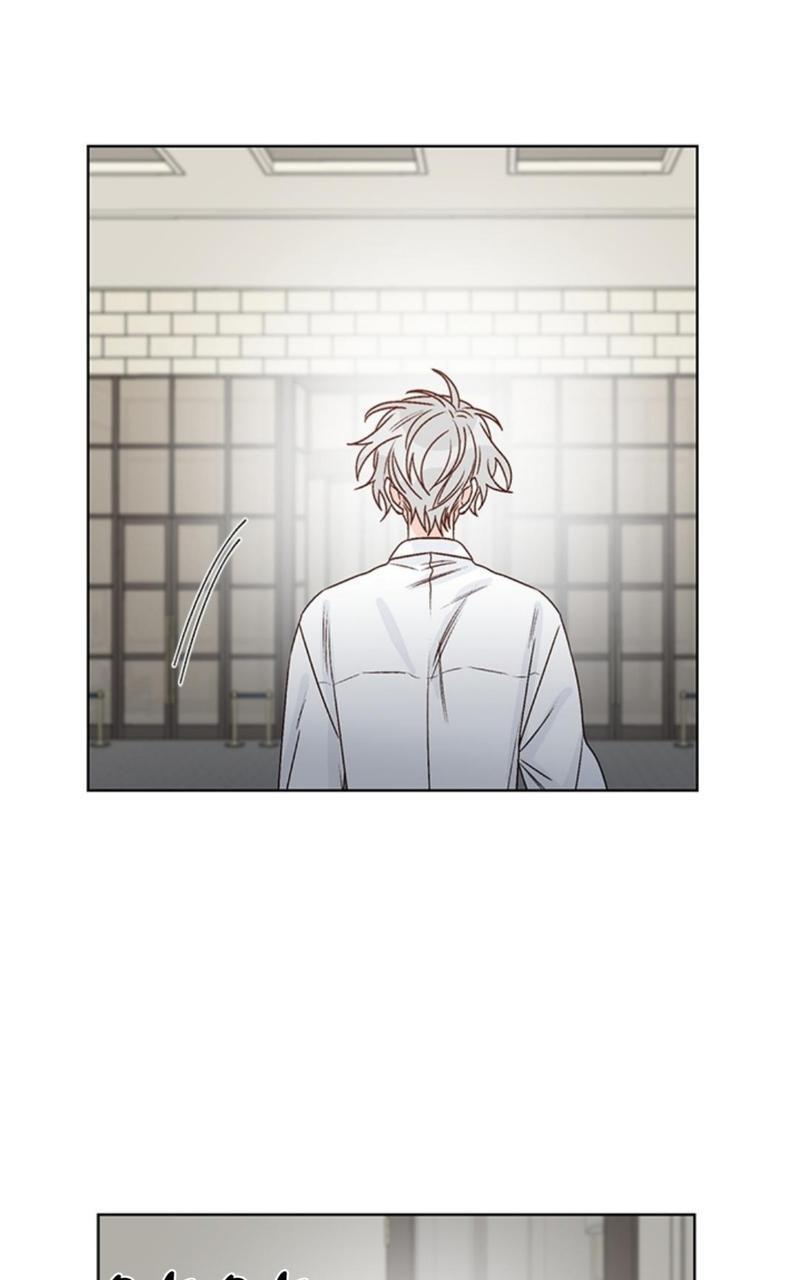 逐龙/追龙[耽美]韩漫全集-第36话无删减无遮挡章节图片 
