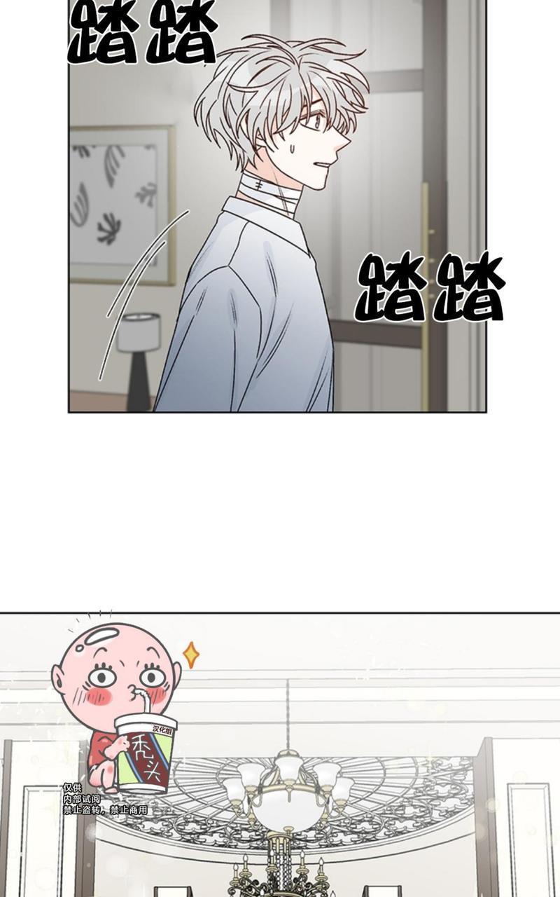 逐龙/追龙[耽美]韩漫全集-第36话无删减无遮挡章节图片 