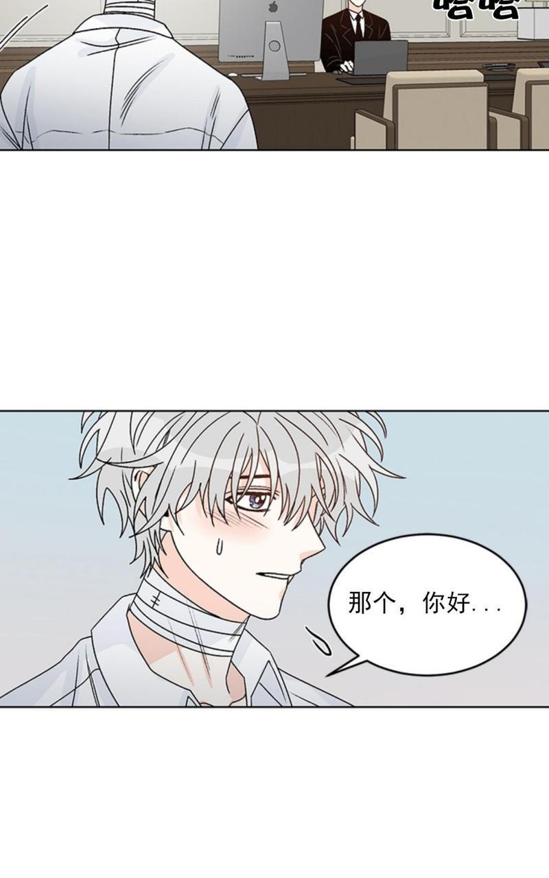 逐龙/追龙[耽美]韩漫全集-第36话无删减无遮挡章节图片 