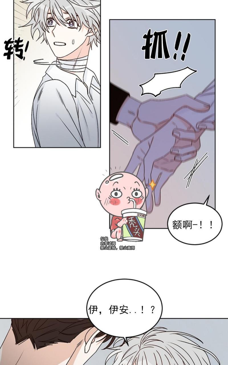 逐龙/追龙[耽美]韩漫全集-第36话无删减无遮挡章节图片 