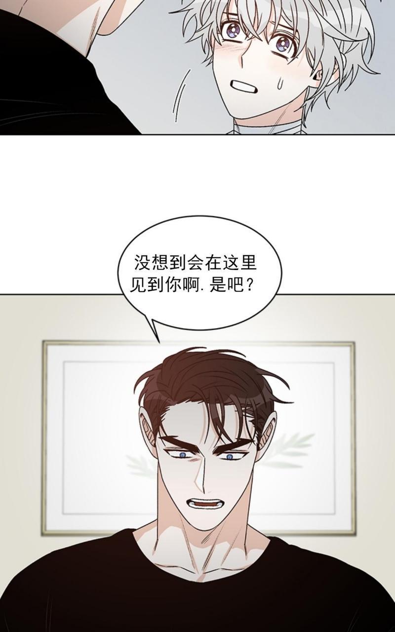 逐龙/追龙[耽美]韩漫全集-第36话无删减无遮挡章节图片 