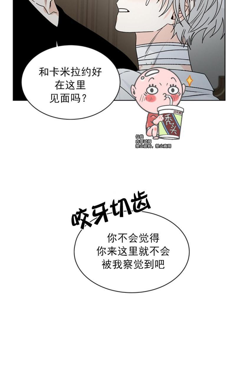 逐龙/追龙[耽美]韩漫全集-第36话无删减无遮挡章节图片 