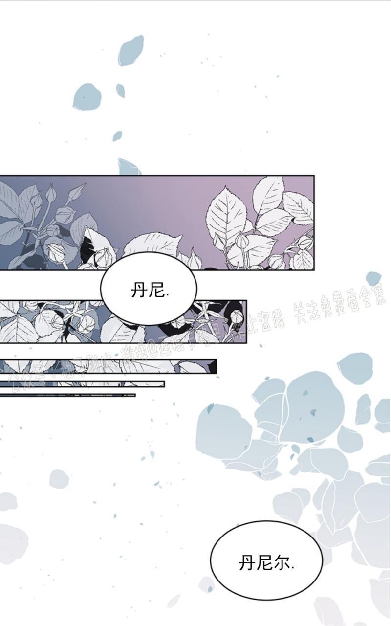 逐龙/追龙[耽美]韩漫全集-第37话无删减无遮挡章节图片 
