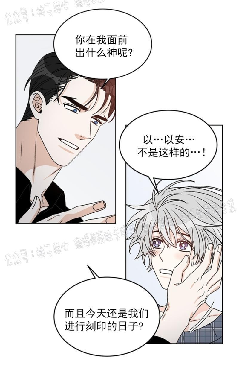 逐龙/追龙[耽美]韩漫全集-第37话无删减无遮挡章节图片 