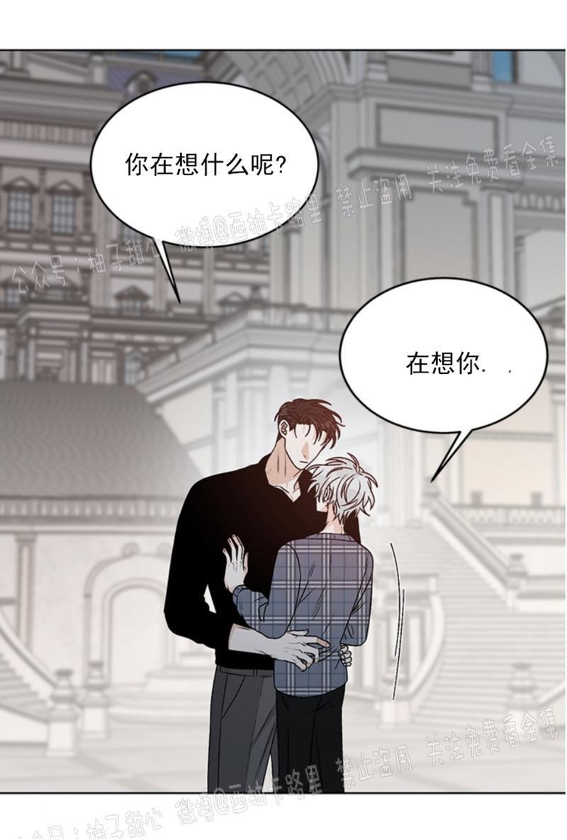 逐龙/追龙[耽美]韩漫全集-第37话无删减无遮挡章节图片 