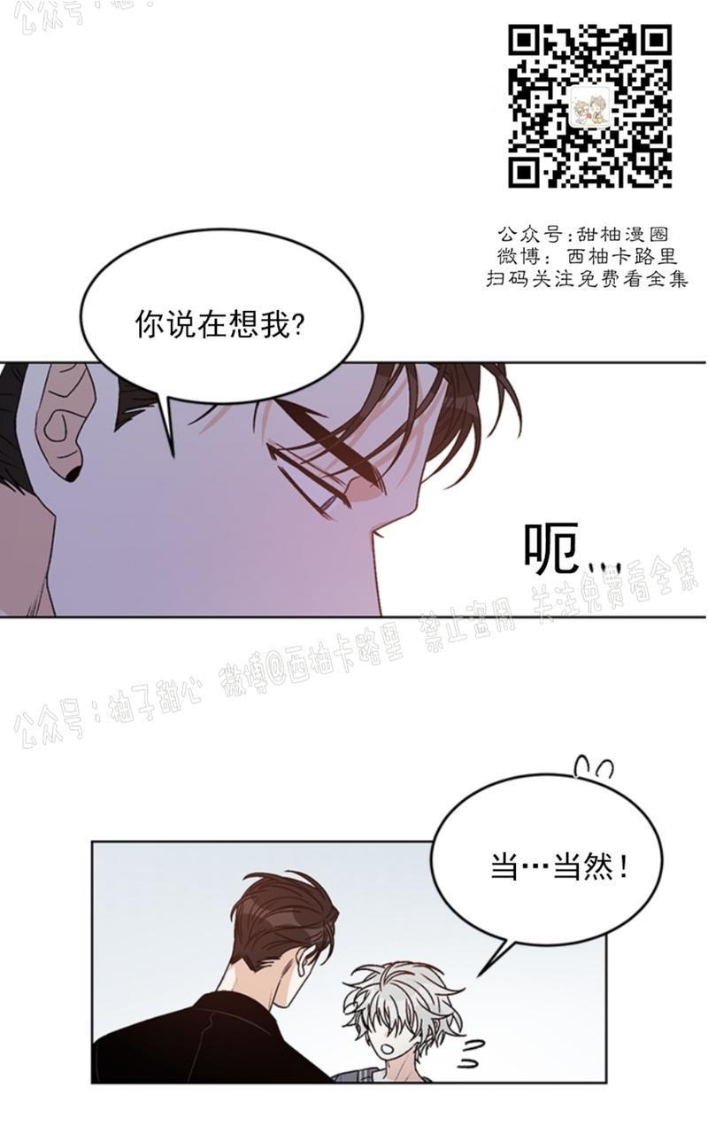 逐龙/追龙[耽美]韩漫全集-第37话无删减无遮挡章节图片 