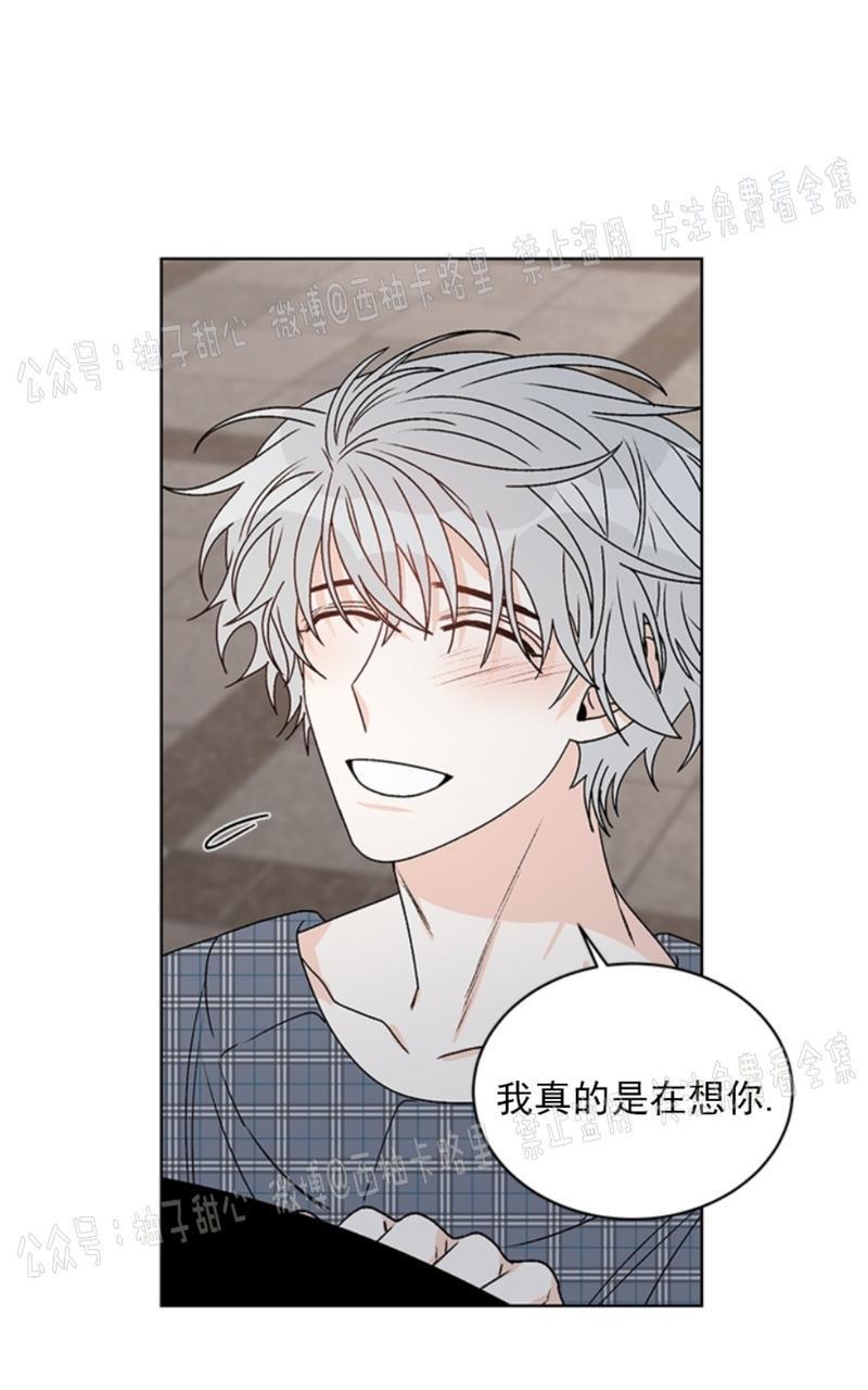 逐龙/追龙[耽美]韩漫全集-第37话无删减无遮挡章节图片 