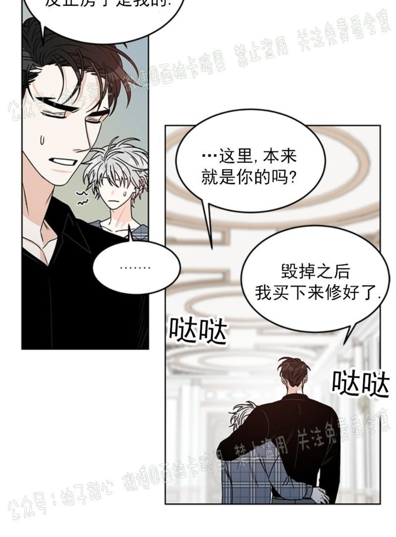 逐龙/追龙[耽美]韩漫全集-第37话无删减无遮挡章节图片 