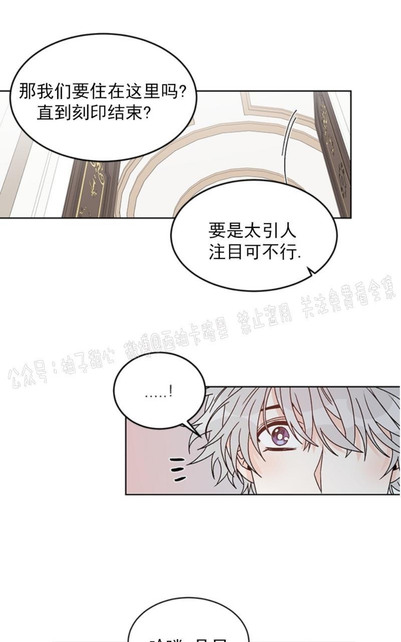 逐龙/追龙[耽美]韩漫全集-第37话无删减无遮挡章节图片 