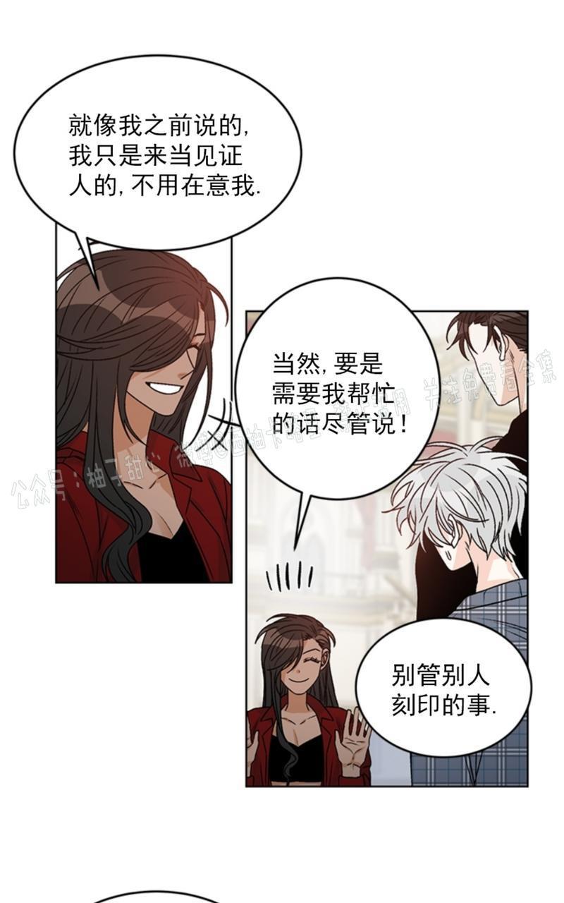 逐龙/追龙[耽美]韩漫全集-第37话无删减无遮挡章节图片 