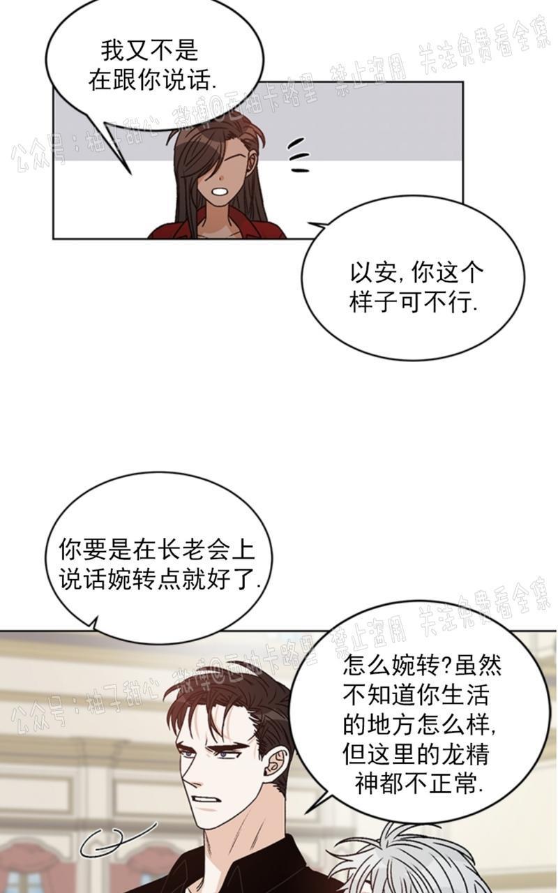 逐龙/追龙[耽美]韩漫全集-第37话无删减无遮挡章节图片 