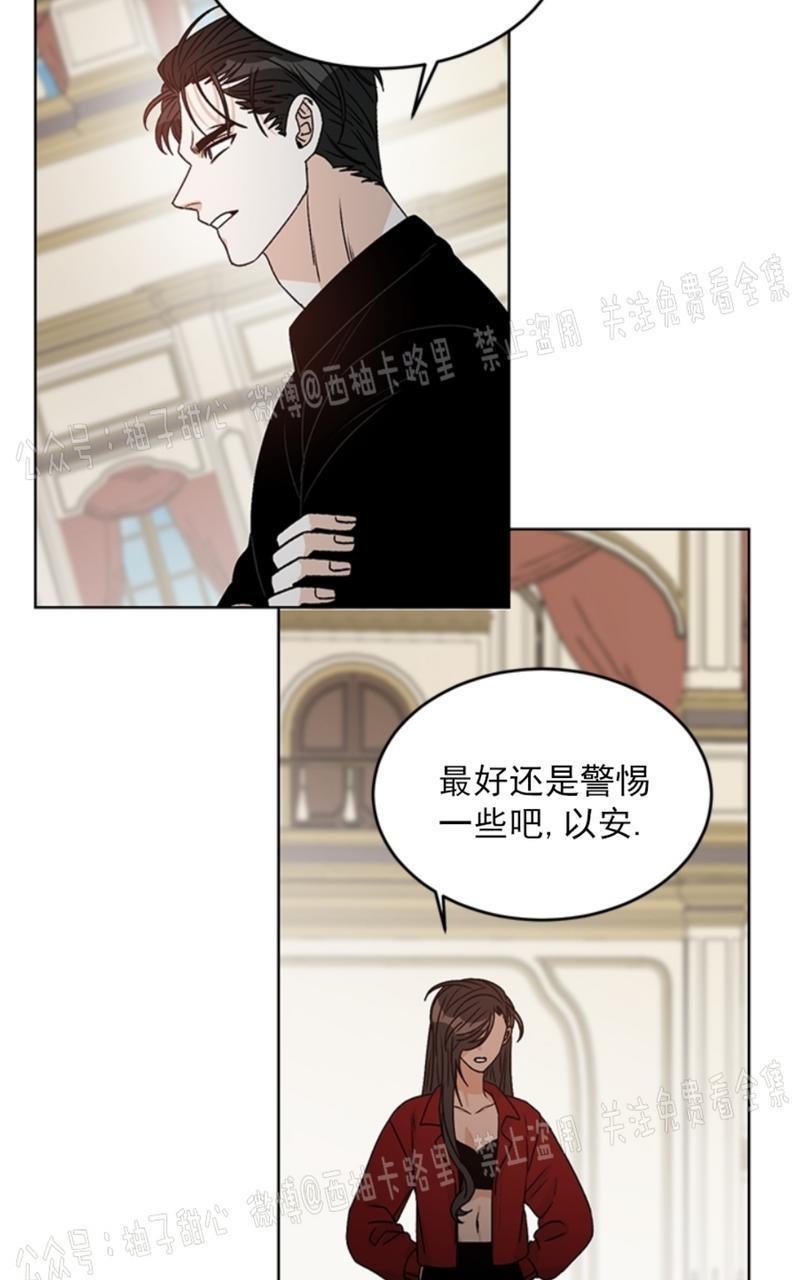 逐龙/追龙[耽美]韩漫全集-第37话无删减无遮挡章节图片 