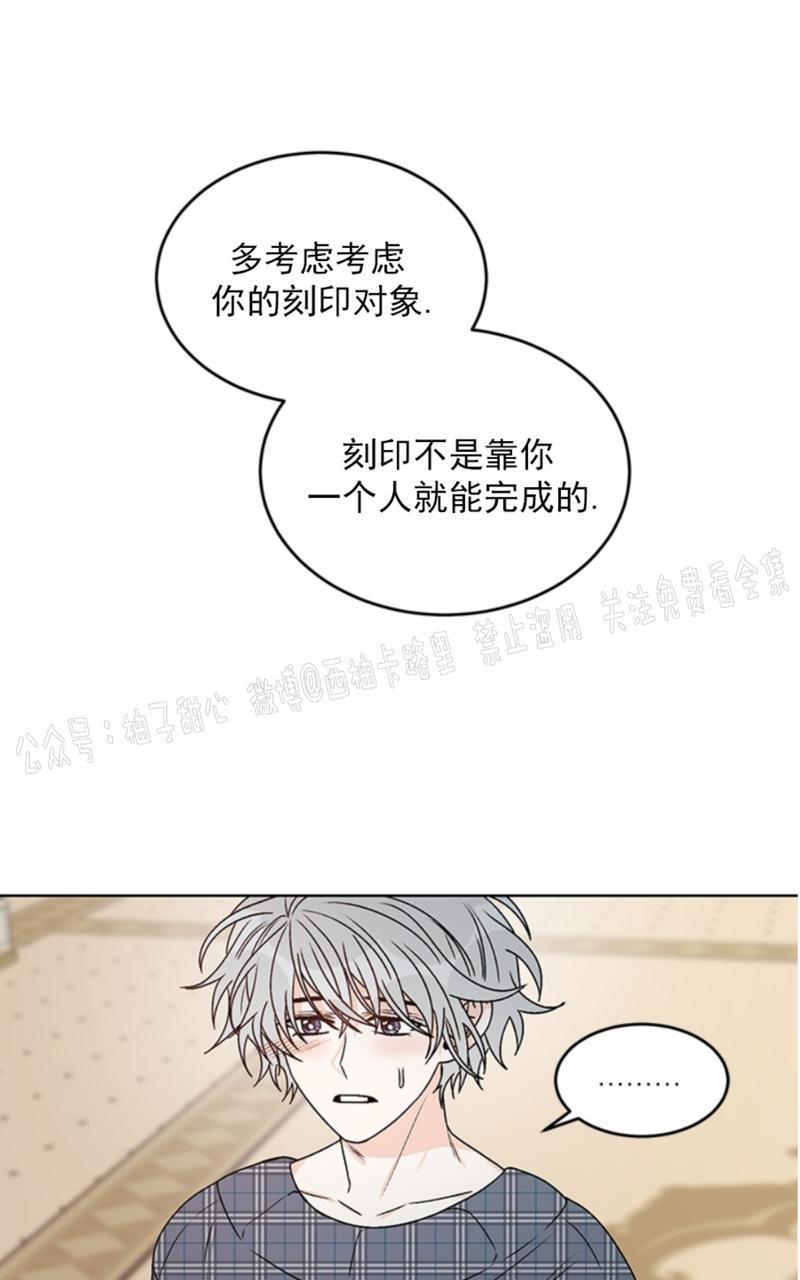 逐龙/追龙[耽美]韩漫全集-第37话无删减无遮挡章节图片 