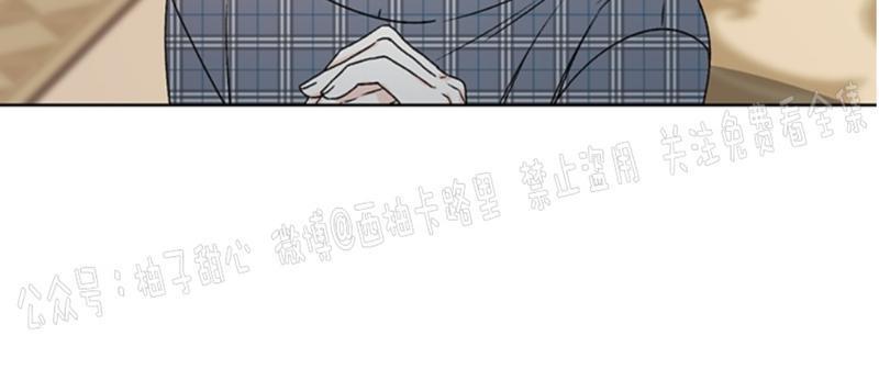 逐龙/追龙[耽美]韩漫全集-第37话无删减无遮挡章节图片 