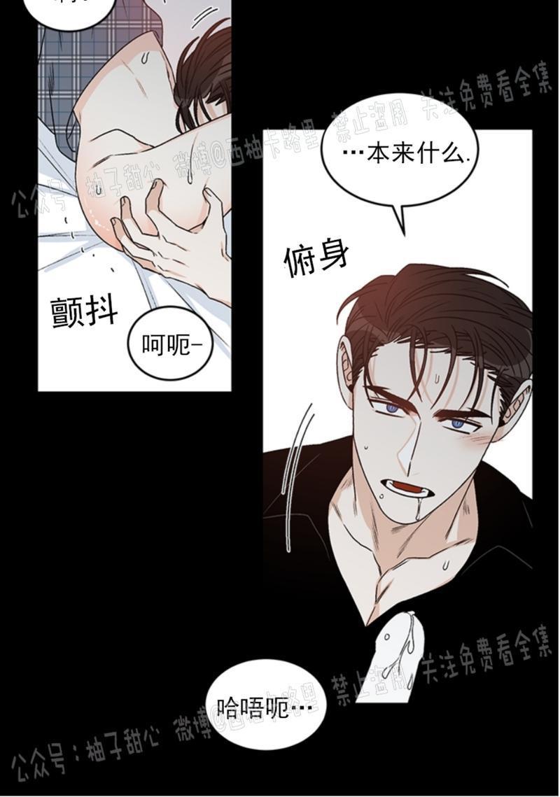 逐龙/追龙[耽美]韩漫全集-第37话无删减无遮挡章节图片 