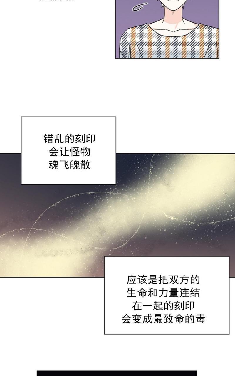 逐龙/追龙[耽美]韩漫全集-第38话end无删减无遮挡章节图片 