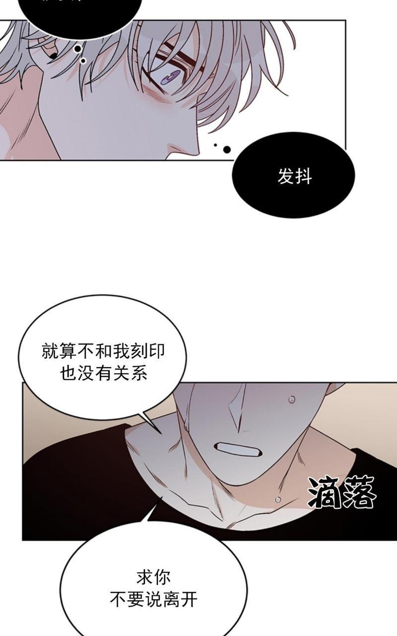 逐龙/追龙[耽美]韩漫全集-第38话end无删减无遮挡章节图片 