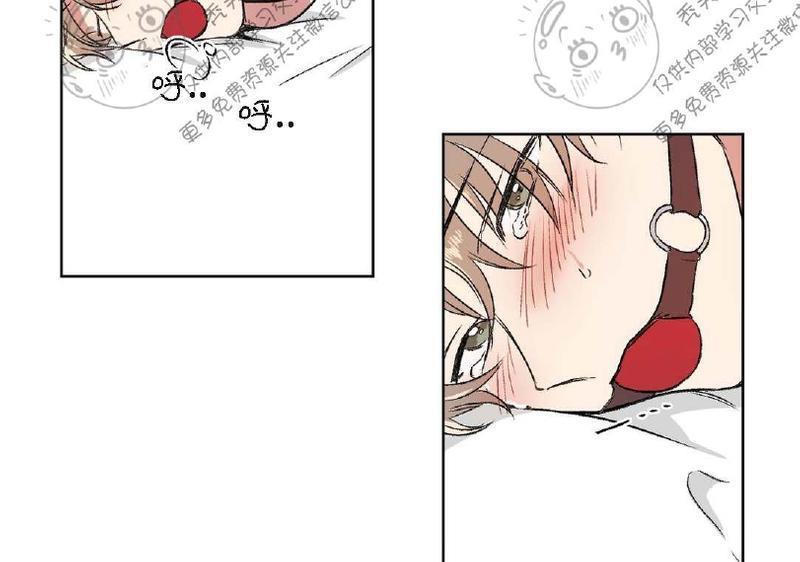 特别授课/特别课程[耽美]韩漫全集-第5话无删减无遮挡章节图片 
