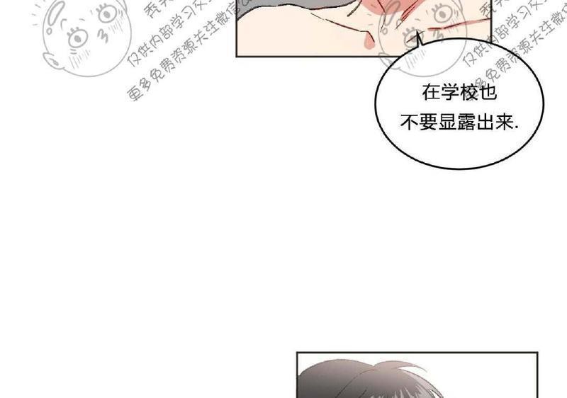 特别授课/特别课程[耽美]韩漫全集-第6话无删减无遮挡章节图片 