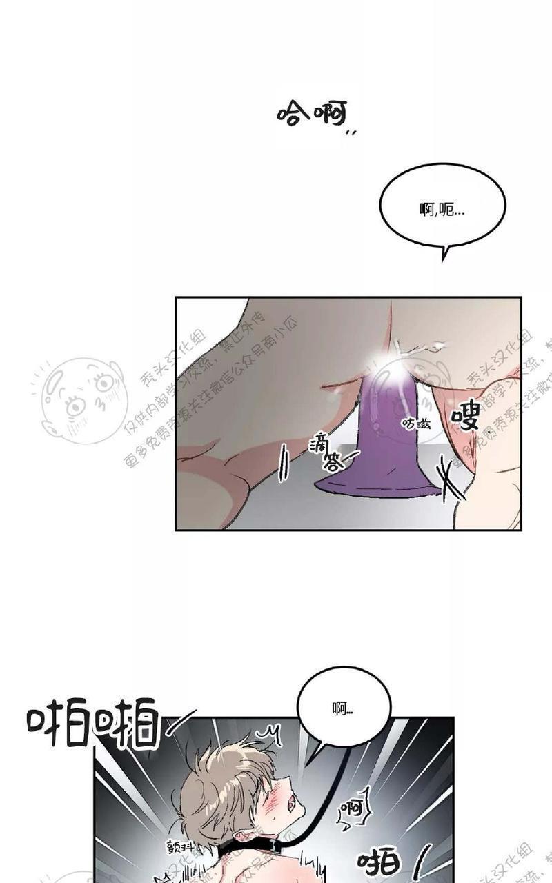 特别授课/特别课程[耽美]韩漫全集-第20话无删减无遮挡章节图片 