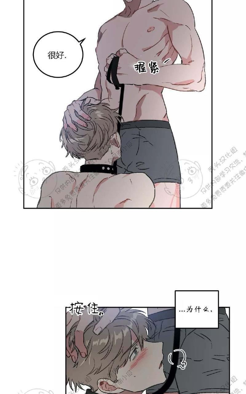 特别授课/特别课程[耽美]韩漫全集-第20话无删减无遮挡章节图片 