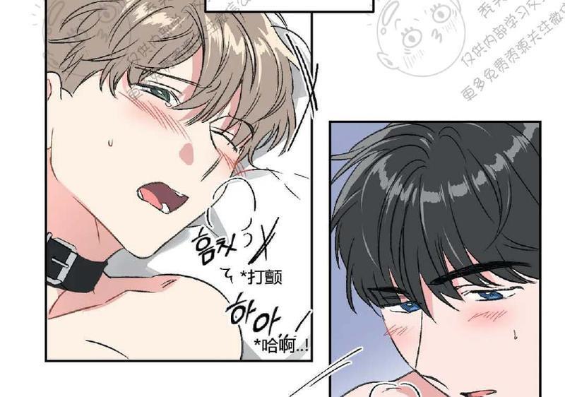 特别授课/特别课程[耽美]韩漫全集-第21话无删减无遮挡章节图片 