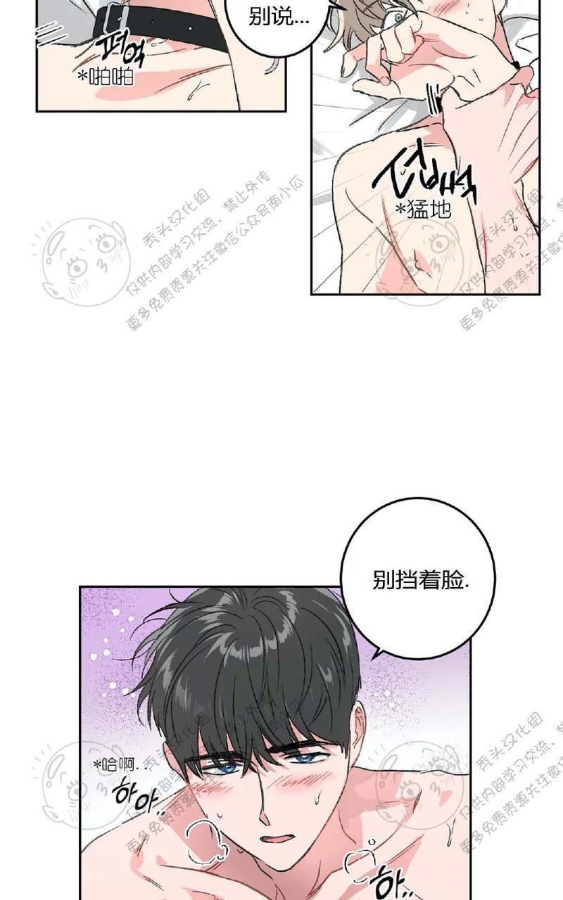 特别授课/特别课程[耽美]韩漫全集-第21话无删减无遮挡章节图片 