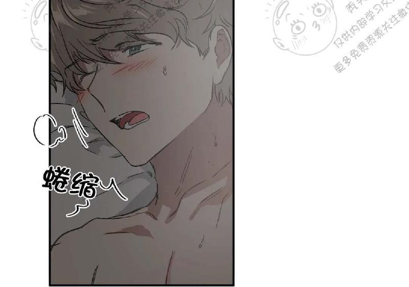 特别授课/特别课程[耽美]韩漫全集-第22话无删减无遮挡章节图片 