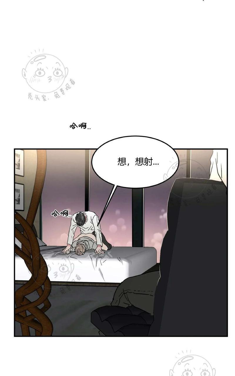 特别授课/特别课程[耽美]韩漫全集-第33话无删减无遮挡章节图片 